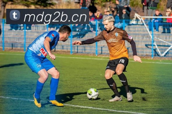 乐竞官方网站APP 体育赛事宣传图